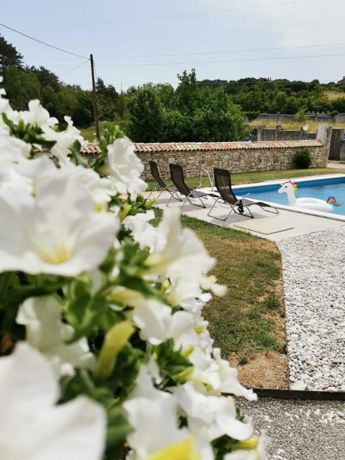 Villa Accordia Labin (Istria) Exterior foto